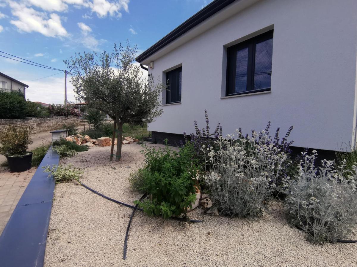 אומאג Villa Oliva מראה חיצוני תמונה